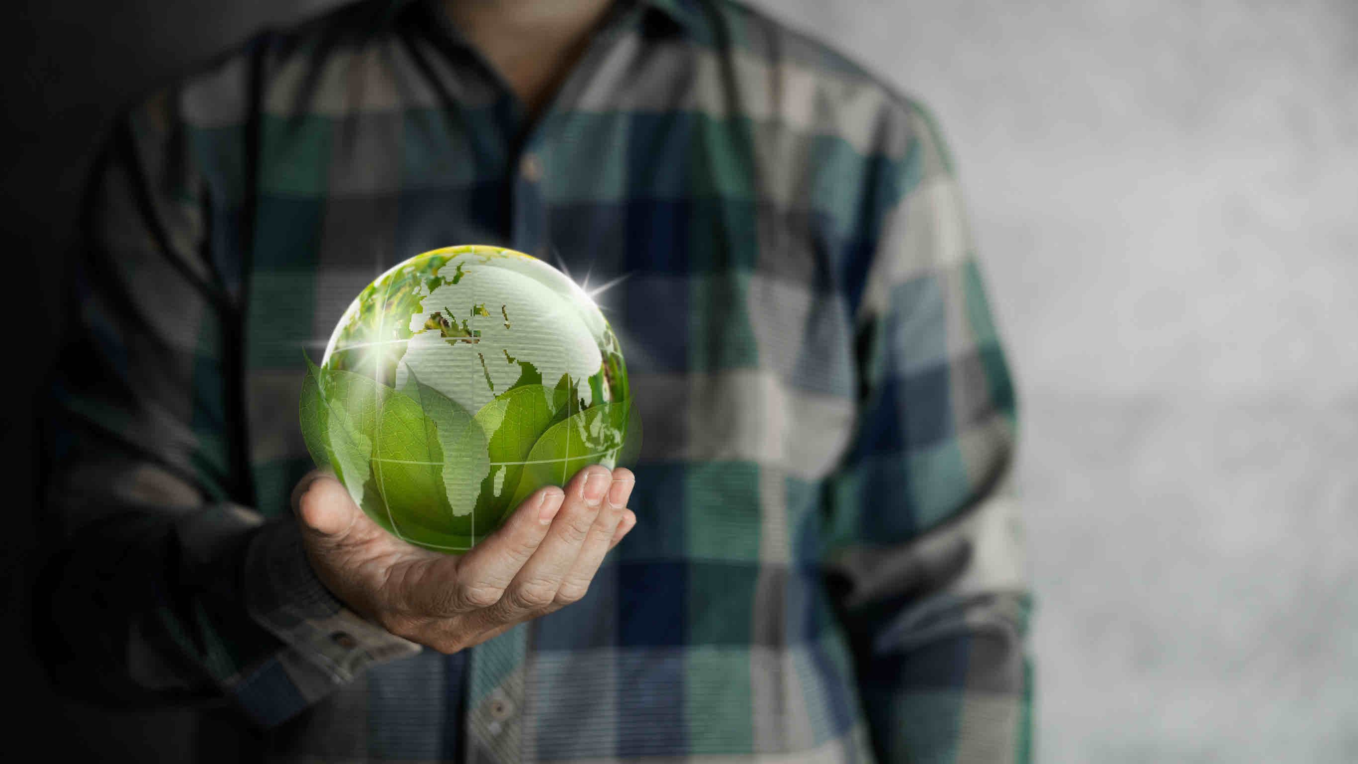 The Green Shift: How Sustainability Is Reshaping the Beverage World